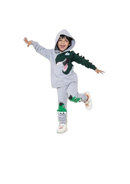 boy-Dinosaur face 3D Hoodie